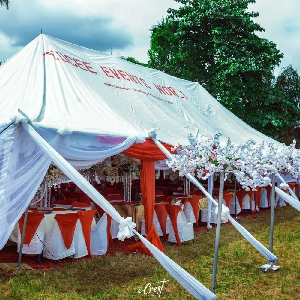 Tocee Events World photo 3